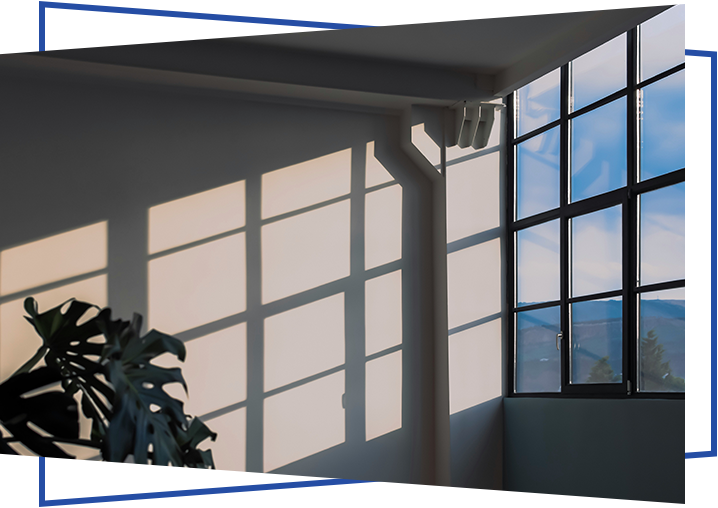 A window with many windows and a plant in the corner.